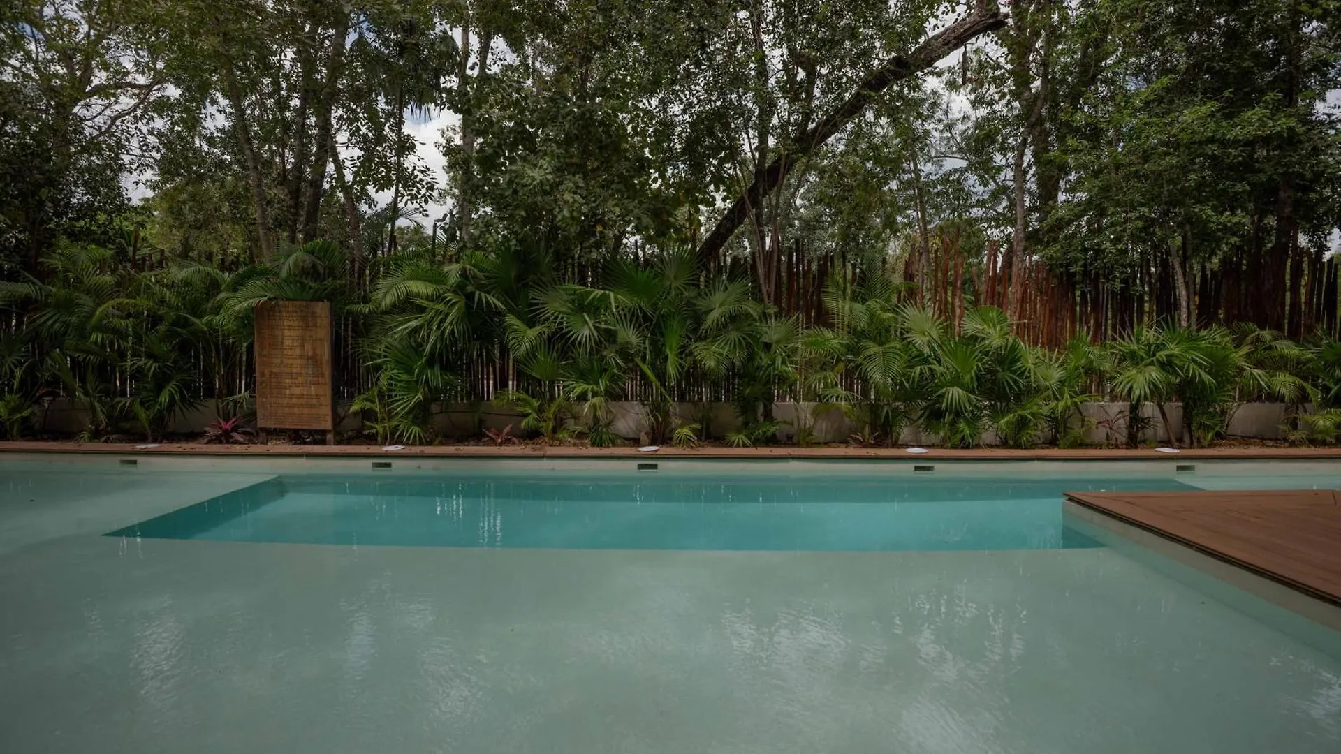 טולום Quiet, Lux, Spacious And Comfy 2Bd 2Bth Condo,Private Pool, Wifi, Ac, 24Hr Security מלון דירות